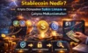 Altcoin Nedir