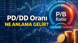 PD/DD Oranı Ne Anlama Gelir